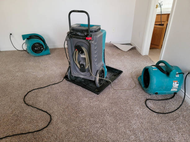 Best Water damage cleanup near me  in Roseburg Nth, OR